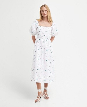 Barbour Fairacre Midi Dress Flerfarvede | BABO89632