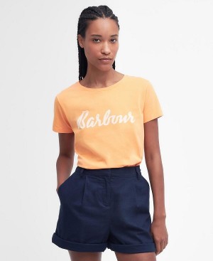 Barbour Otterburn T-shirt Orange | BABO89546