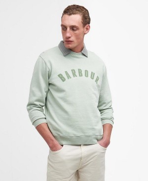 Barbour Terra Dye Logo Sweatshirt Grøn | BABO88460