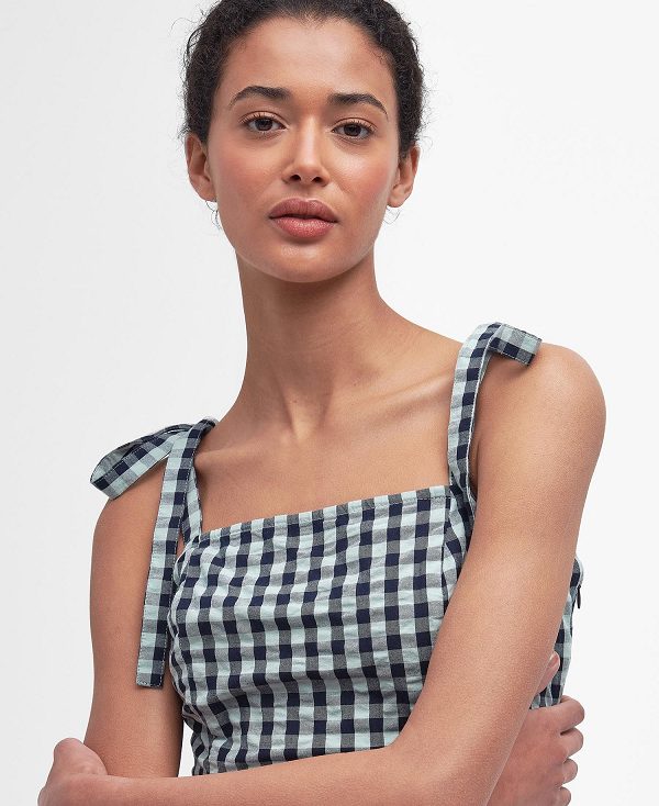 Barbour Abigail Gingham Midi Dress Blå | BABO89631