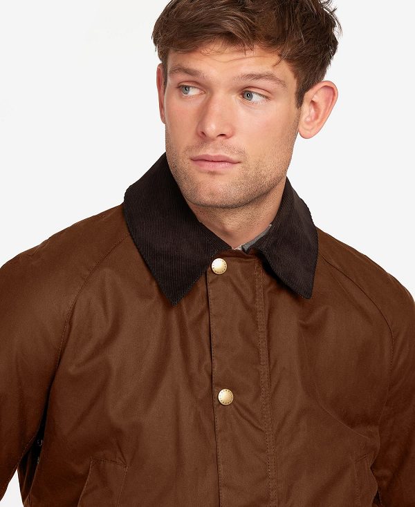 Barbour Ashby Waxed Jacket Brune | BABO87164