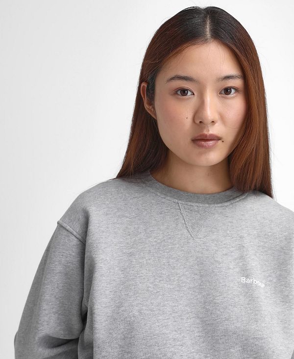 Barbour Bede Oversized Sweatshirt Lysegrå | BABO89815