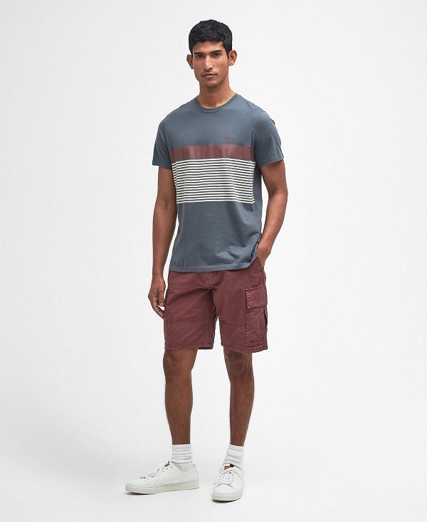 Barbour Braeside Striped T-shirt Blå | BABO88345