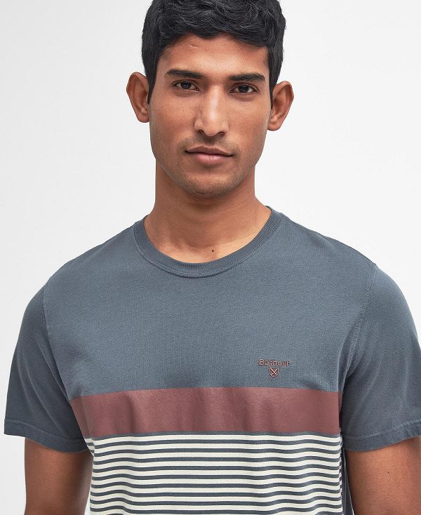 Barbour Braeside Striped T-shirt Blå | BABO88345