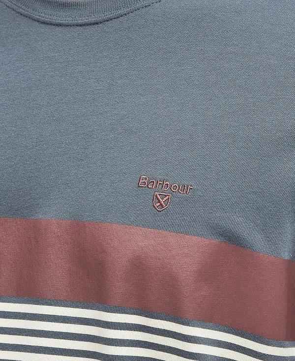 Barbour Braeside Striped T-shirt Blå | BABO88345