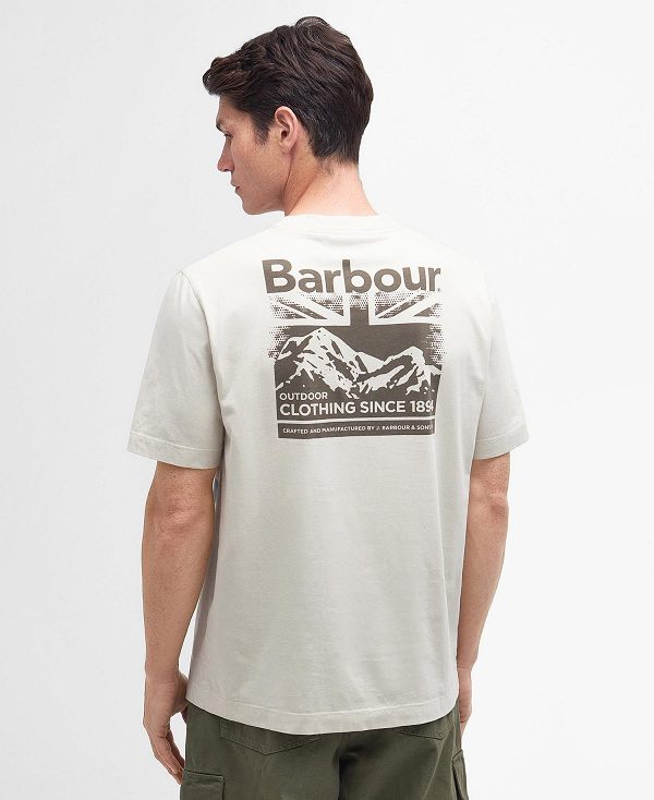 Barbour Catterick T-shirt Beige | BABO88292