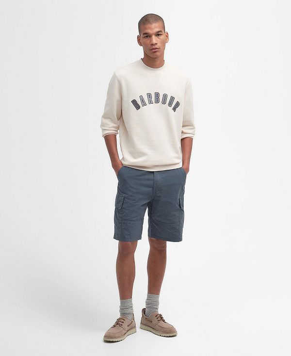 Barbour Danby Logo Sweatshirt Beige | BABO88468