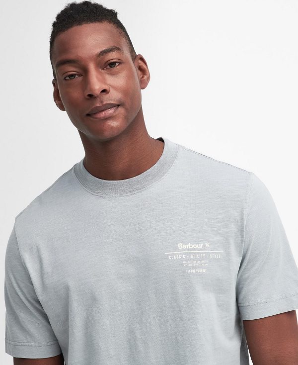 Barbour Denison Relaxed T-shirt Blå | BABO88392