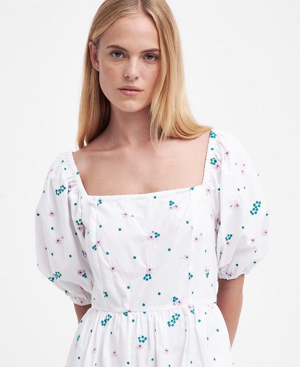 Barbour Fairacre Midi Dress Flerfarvede | BABO89632