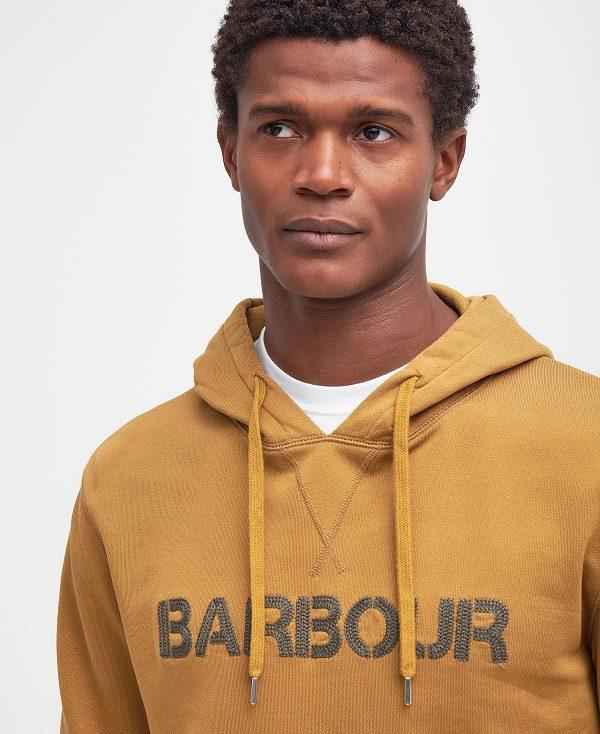 Barbour Farnworth Logo Hoodie Brune | BABO88447