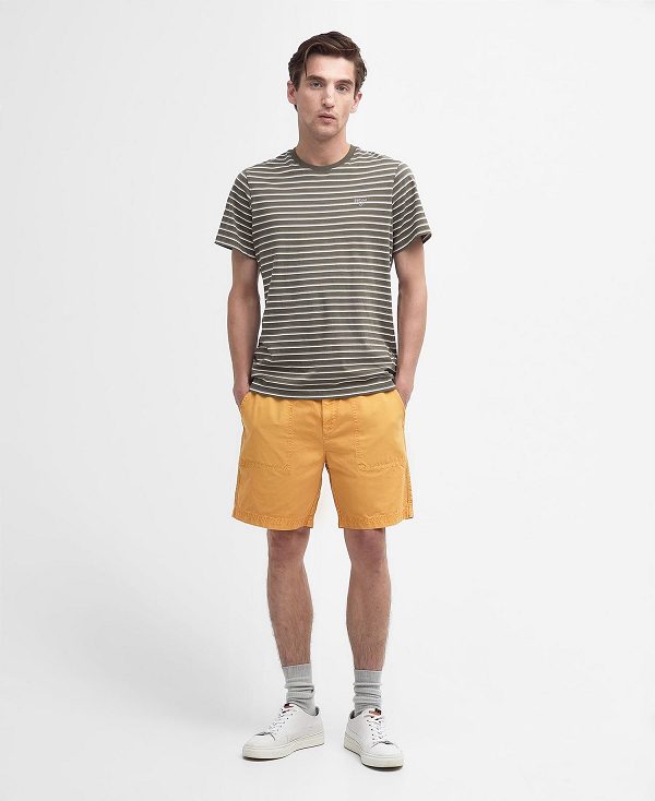 Barbour Grindle Shorts Orange Guld | BABO88763