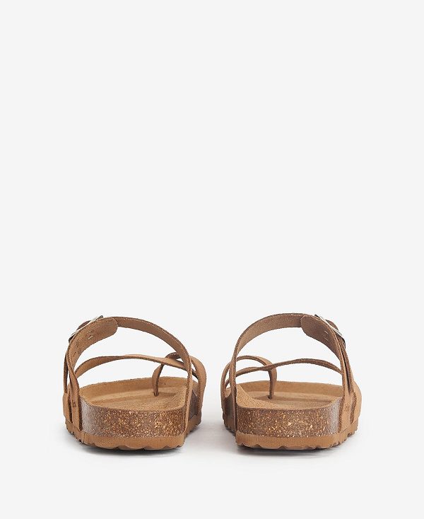 Barbour Langton Sandals Brune | BABO89897