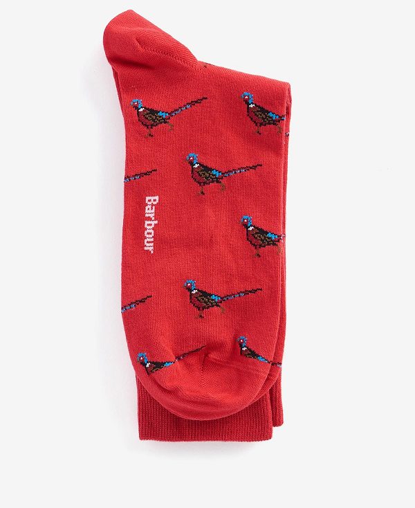 Barbour Mavin Socks Rød | BABO89133