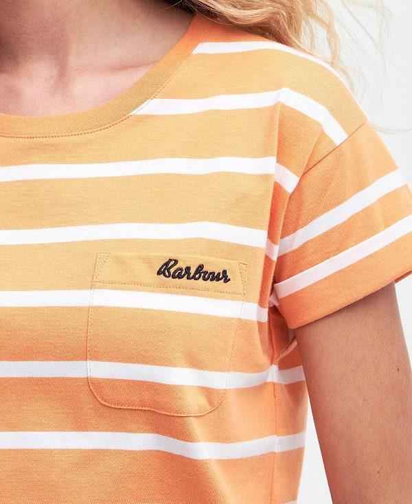 Barbour Otterburn Stripe T-shirt Orange | BABO89543