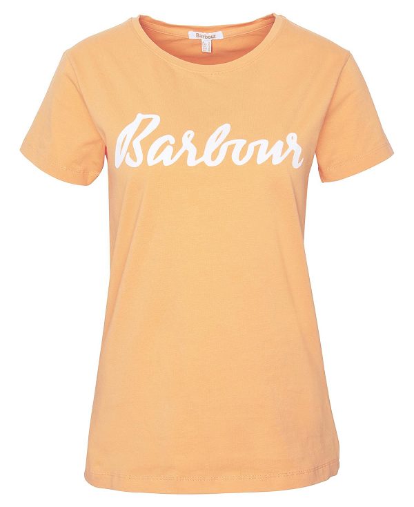 Barbour Otterburn T-shirt Orange | BABO89546