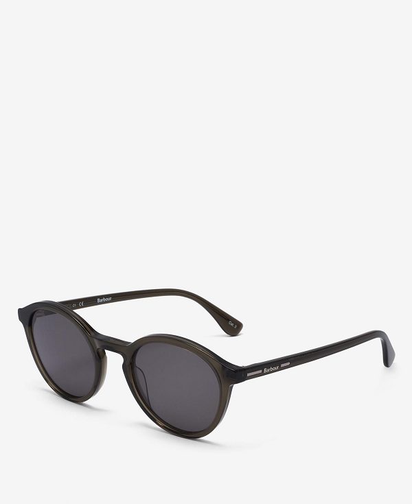 Barbour Panto Sunglasses Grøn | BABO89175