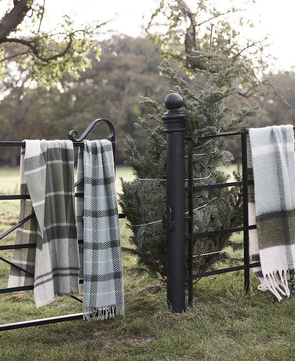 Barbour Rosefield Tartan Scarf Brune | BABO90081