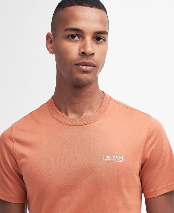 Barbour Small Logo T-shirt Orange | BABO88301