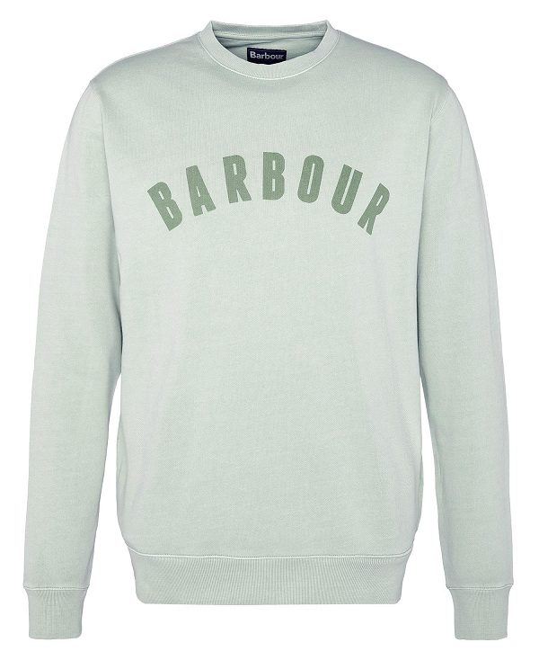 Barbour Terra Dye Logo Sweatshirt Grøn | BABO88460