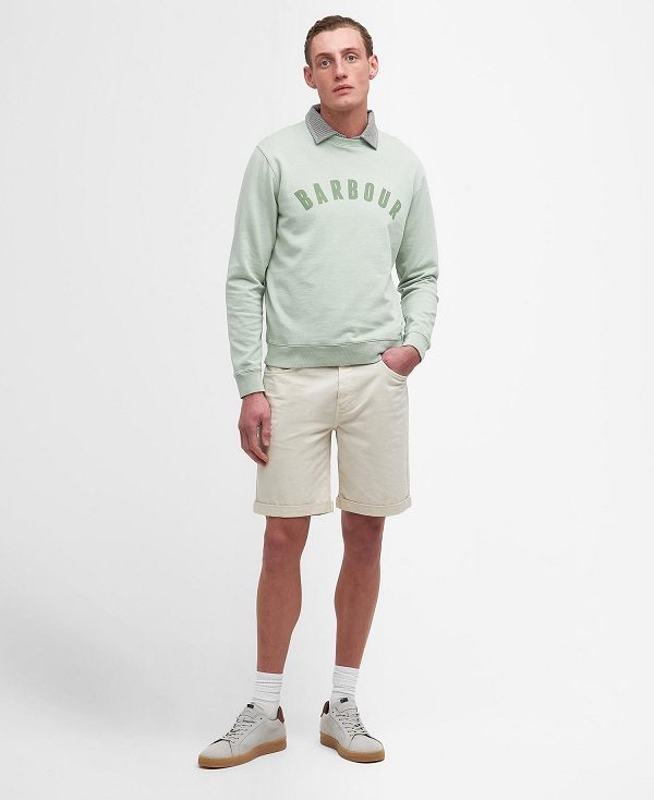 Barbour Terra Dye Logo Sweatshirt Grøn | BABO88460