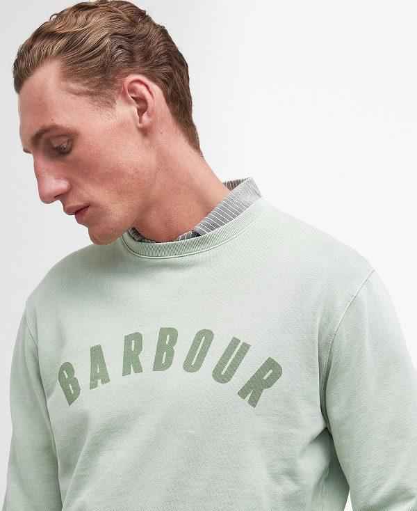 Barbour Terra Dye Logo Sweatshirt Grøn | BABO88460