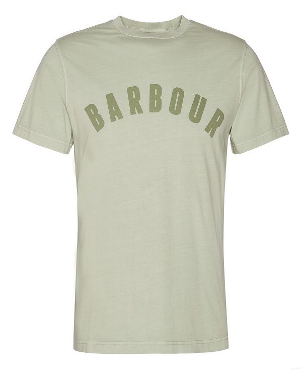 Barbour Terra Dye T-shirt Grøn | BABO88342