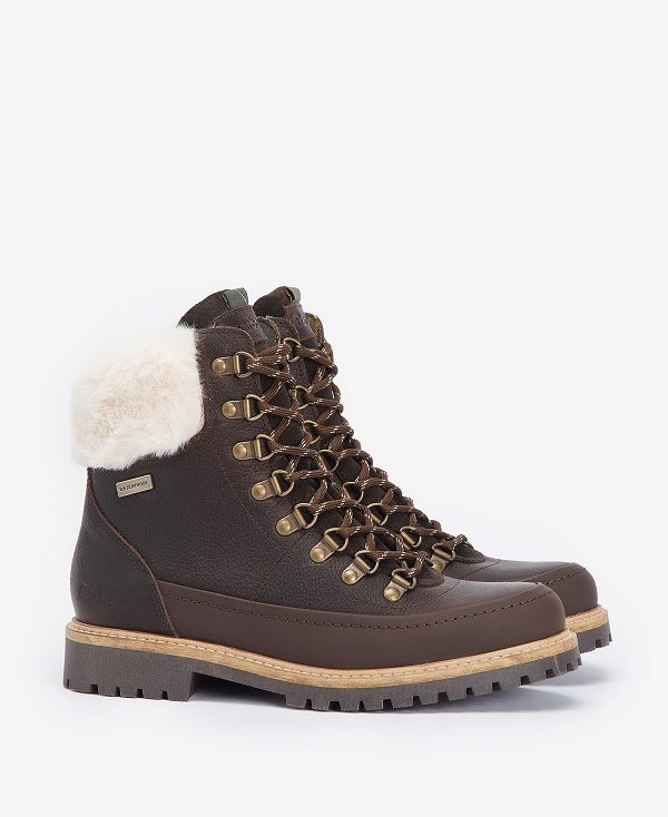 Barbour Woodside Hiker Boots Mørkebrune | BABO89875